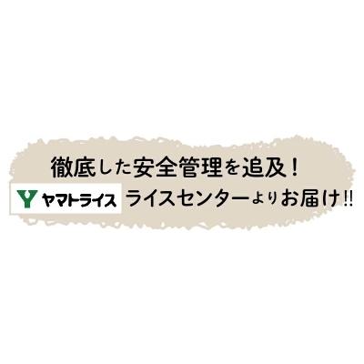 ふるさと納税 碧南市 新潟県魚沼産コシヒカリ 5kg H074-057|y-sf|02