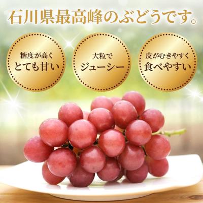 ふるさと納税 かほく市 【令和6年度発送分】ルビーロマン1箱　化粧箱入り　贈答にも　石川県産高級ぶどう｜y-sf｜03