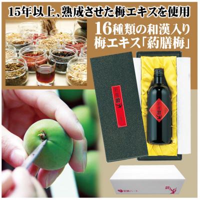 ふるさと納税 碧南市 和漢入り梅エキス 葯膳梅 H001-063の画像
