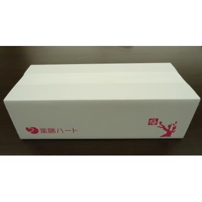ふるさと納税 碧南市 和漢入り梅エキス 葯膳梅 H001-063の画像