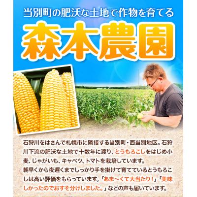 ふるさと納税 当別町 【令和6年発送先行受付】森本農園じゃがいも15kgセット｜y-sf｜02