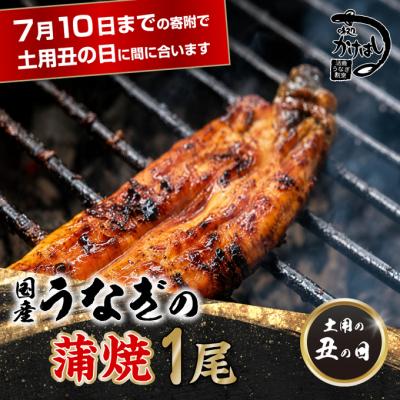 ふるさと納税 小郡市 昭和52年創業の味 手焼き 国産 うなぎ 蒲焼き 1尾 200〜300g [No5354-0055]