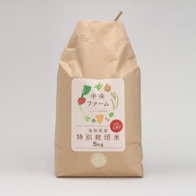 ふるさと納税 鳥取市 鳥取県産特別栽培米こしひかり(5kg)