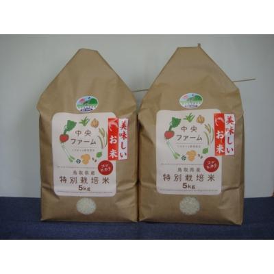 ふるさと納税 鳥取市 2021人気特価 鳥取県産特別栽培米こしひかり 最新作 10kg