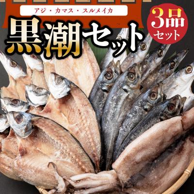 ふるさと納税 室戸市 黒潮セット(室戸海洋深層水仕込) アジ干物 カマス干物 スルメイカ 干物詰め合わせセット