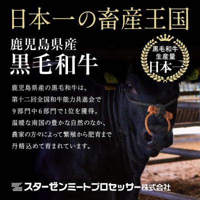 ふるさと納税 南さつま市  【鹿児島県産】黒毛和牛 赤身 もも スライス 600gすき焼き 冷凍 スターゼン｜y-sf｜04