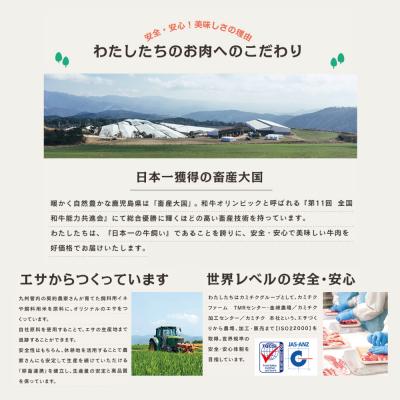 ふるさと納税 南さつま市 【鹿児島県産】A5等級黒毛和牛 赤身スライス 計400g(200g×2P)|y-sf|04