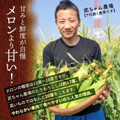 ふるさと納税 碧南市 【お試し】メロンより甘い生で食べれるとうもろこし“にっこりコーン” 3Lサイズ7本 H095-002|y-sf|02