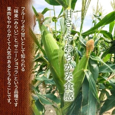 ふるさと納税 碧南市 【お試し】メロンより甘い生で食べれるとうもろこし“にっこりコーン” 3Lサイズ7本 H095-002|y-sf|03