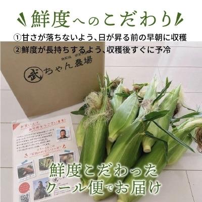 ふるさと納税 碧南市 【お試し】メロンより甘い生で食べれるとうもろこし“にっこりコーン” 3Lサイズ7本 H095-002|y-sf|04