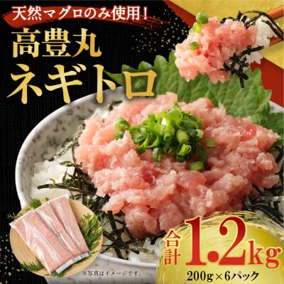 ふるさと納税 室戸市 高豊丸ネギトロ1.2kg 天然 マグロ 使用 訳あり