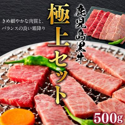 ふるさと納税 大崎町 鹿児島黒牛極上セット(焼肉)500g/1パック
