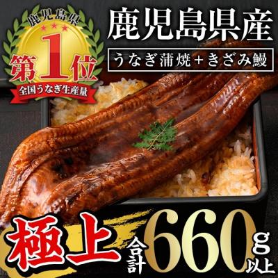 ふるさと納税 曽於市 鹿児島県産うなぎ蒲焼きざみセット<極上>(約160〜236g×3尾・きざみ50g×2袋) タレ