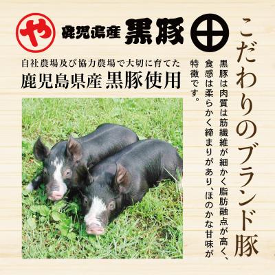 ふるさと納税 南さつま市 【鹿児島県産】黒豚の炭焼き焼豚3本セット 焼き豚 チャーシュー 黒豚 煮豚｜y-sf｜02