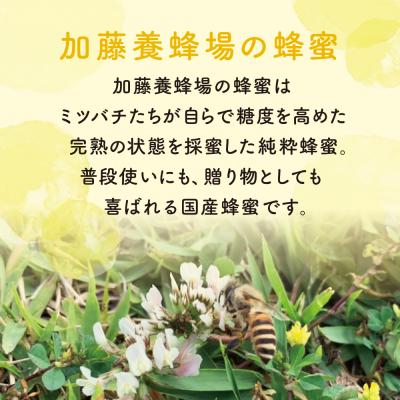 ふるさと納税 南さつま市 【国産 純粋はちみつ】アカシア蜂蜜 1.2kg 鹿児島産 加藤養蜂場の画像