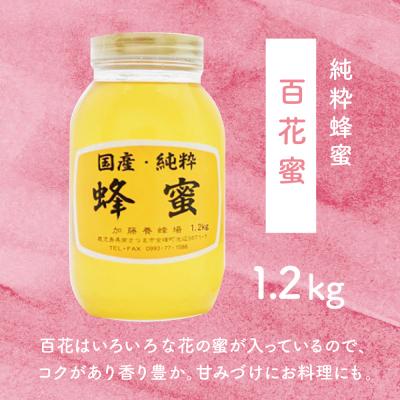 ふるさと納税 南さつま市 【国産 純粋はちみつ】百花蜂蜜 1.2kg 鹿児島産 加藤養蜂場の画像