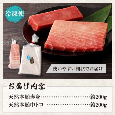 ふるさと納税 室戸市 厳選天然本マグロセット(大トロ・中トロ・赤身の食べ