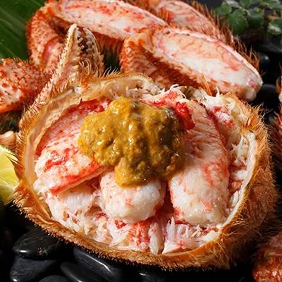 釧路市 ふるさと納税 北海道 旬の産地厳選 朝ゆで毛ガニ 1尾600g 約2人前 Ho3 Q005 Apaproduction Fr