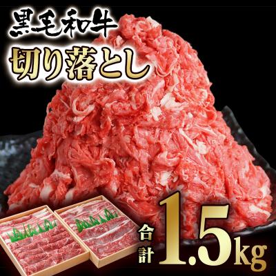 ふるさと納税 西都市 【宮崎有田牧場】宮崎県産黒毛和牛1.5kg『訳あり切り落とし750g×2』牛肉[2918] | 