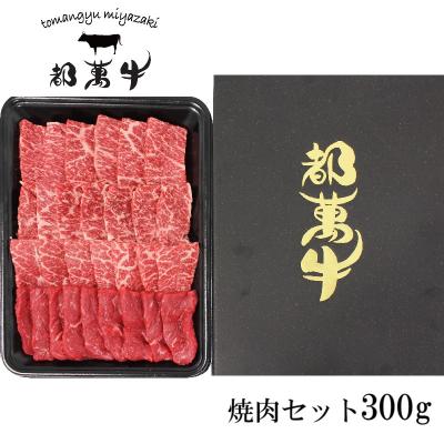 ふるさと納税 西都市 [都萬牛]黒毛和牛焼肉セット 300g宮崎県産黒毛和牛[3167]