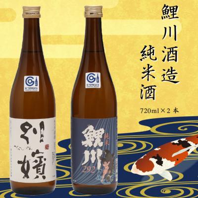 ふるさと納税 庄内町 鯉川酒造 純米酒セット(720ml×2本)
