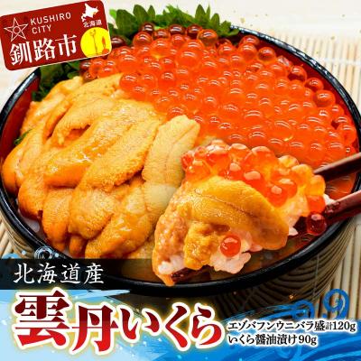 釧路市 ふるさと納税 えぞバフンうに折60g 1 いくら醤油漬け150g 1 Ta503 B131 Dual Voip Gr