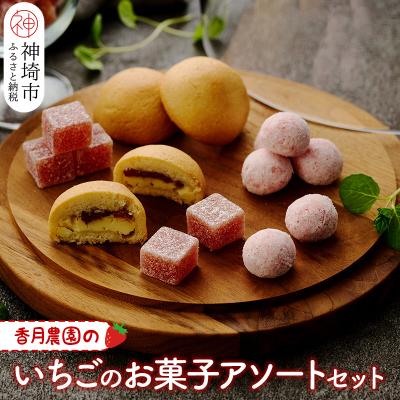 ふるさと納税 神埼市 いちごのお菓子アソートセット (H017111)
