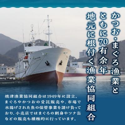 ふるさと納税 焼津市 焼津ミナミマグロスキンレスセット(a31-011)