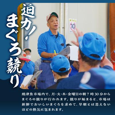 ふるさと納税 焼津市 焼津ミナミマグロスキンレスセット(a31-011)