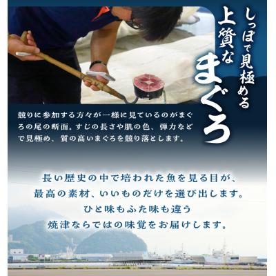 ふるさと納税 焼津市 焼津ミナミマグロスキンレスセット(a31-011)