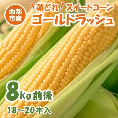 ふるさと納税 西都市 先行受付[朝どれ8kg前後]村田さんちスイートコーン「ゴールドラッシュ」[1531]