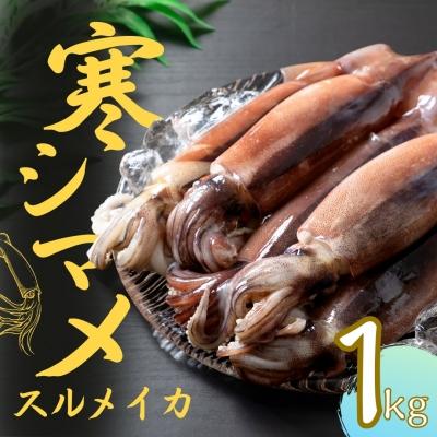 ふるさと納税 海士町 スルメイカ 丸ごと5本 約1kg-1.25kg 寒シマメ