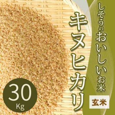 ふるさと納税 宍粟市 [令和7年産]しそうのおいしい お米 キヌヒカリ 玄米 30kg I4