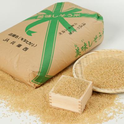ふるさと納税 宍粟市 【令和7年産】しそうのおいしい お米 キヌヒカリ 玄米 30kg I4の画像