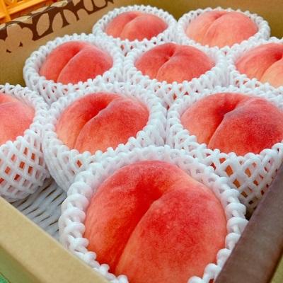 ふるさと納税 上山市 桃(川中島白桃)2.5kg 特秀品 0047-2605の画像