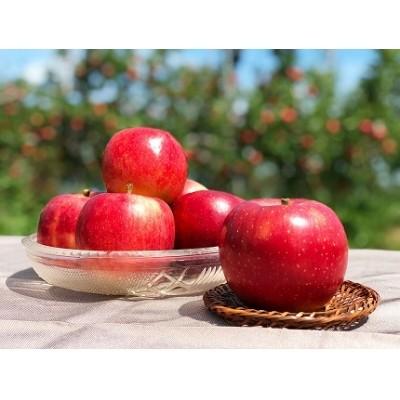 立科町 ふるさと納税 完熟りんご 千秋 約5kg 数量限定 R2 04 06 Olhodaguadocasado Al Gov Br