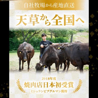 ふるさと納税 天草市 天草産 黒毛和牛 霜降り控えめA4 特選サーロインステーキ 2枚_S001-015|y-sf|02