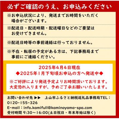 ふるさと納税 上山市 かみのやまシュー 6個 0048-2503 : さとふる 