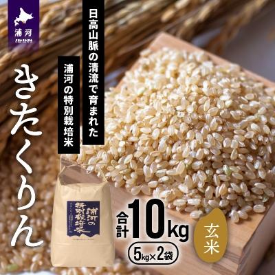 ふるさと納税 浦河町 [令和5年産]浦河の特別栽培米「きたくりん」玄米(5kg×2袋)[28-551]