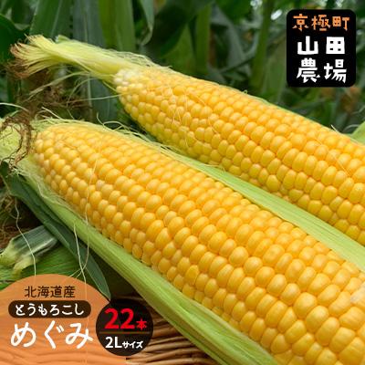 ふるさと納税 京極町 北海道産とうもろこし(恵味)2Lサイズ22本山田農場