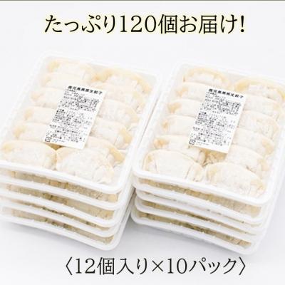 ふるさと納税 南九州市 国産素材にこだわった鹿児島黒豚餃子120個｜y-sf｜04