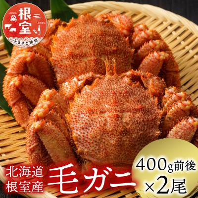 ふるさと納税 根室市 [計800前後][北海道根室産]毛がに400g前後×2尾