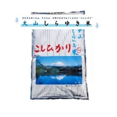 ふるさと納税 米子市 令和7年産 大山しらゆき米10kg(精白、コシヒカリ