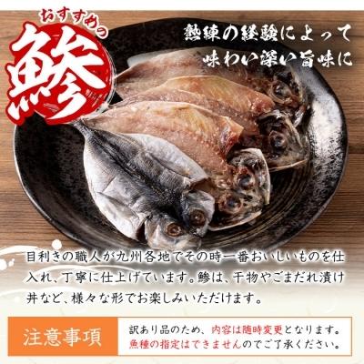 佐伯市 ふるさと納税 ひもの職人直送 訳あり干物バラエティセット さとふる 通販 Yahoo ショッピング