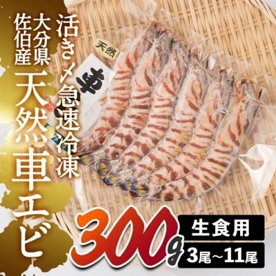 ふるさと納税 佐伯市 活き〆急速冷凍天然車エビ 大分県佐伯産 300g 生食用 その他種類のエビ Vest Doctum Edu Br