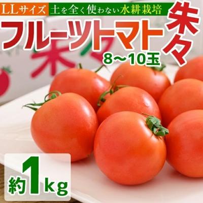 ふるさと納税 佐伯市 フルーツトマト 朱々 LLサイズ (計1kg・8-10玉)