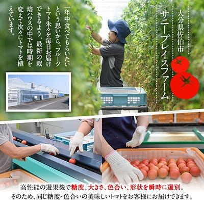 ふるさと納税 佐伯市 フルーツトマト 朱朱 Mサイズ (計1kg・16-18玉)｜y-sf｜03