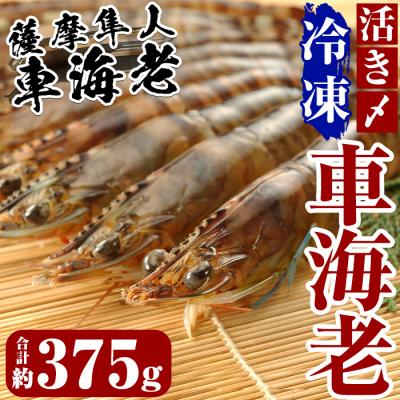 ふるさと納税 霧島市 活き〆冷凍車海老 薩摩隼人車海老 約125g 4 6尾入 3パック Mbc開発 B 014 さとふる 通販 Yahoo ショッピング