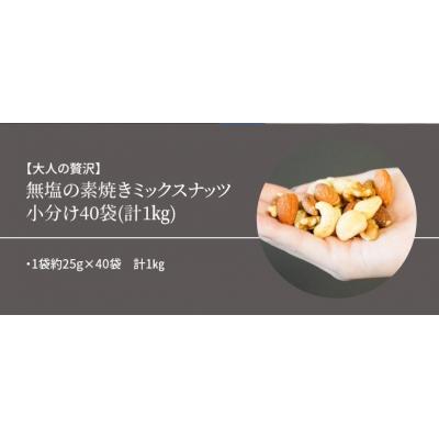 ふるさと納税 碧南市 無塩の素焼きミックスナッツ　小分け40袋(計1kg)　H059-095｜y-sf｜03