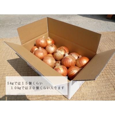 安い 南あわじ市 ふるさと納税 淡路夢ファーム 玉ねぎ 淡路玉三郎 10kg 送料無料 Www Muslimaidusa Org